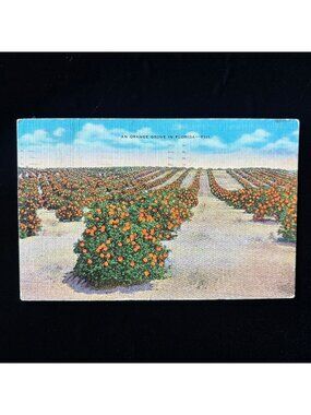 Vintage Postcard 1939 Orange Grove Orlando FL DeLona Duck Inn Social History